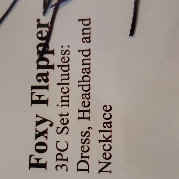 Elegant Moments Halloween costume - Picture 2 of 4